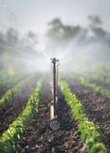 EcoFarm Conference